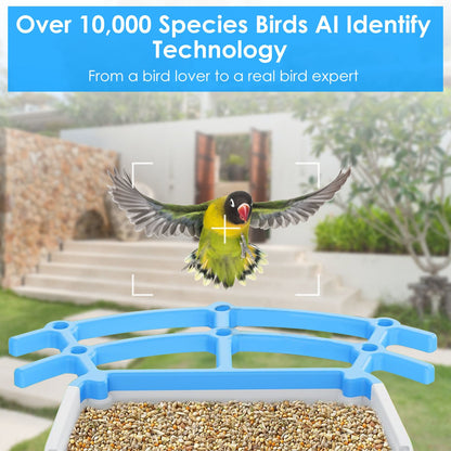 Solar Powered Smart Bird Feeder 2K Bird Watching Camera With PIR Motion AI Birds Species Identify Two-Way Audio Real-Time App Notification Capture Video Gift For Bird Lover