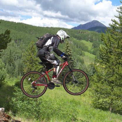 A27312 Mountain Bike 27.5 Inch Wheels, 21-Speed Mens Womens Trail Commuter City Mountain Bike, Aluminium Frame Disc Brakes Thumb Shifter Front Fork Bicycles