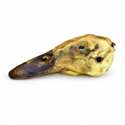 Duck Head