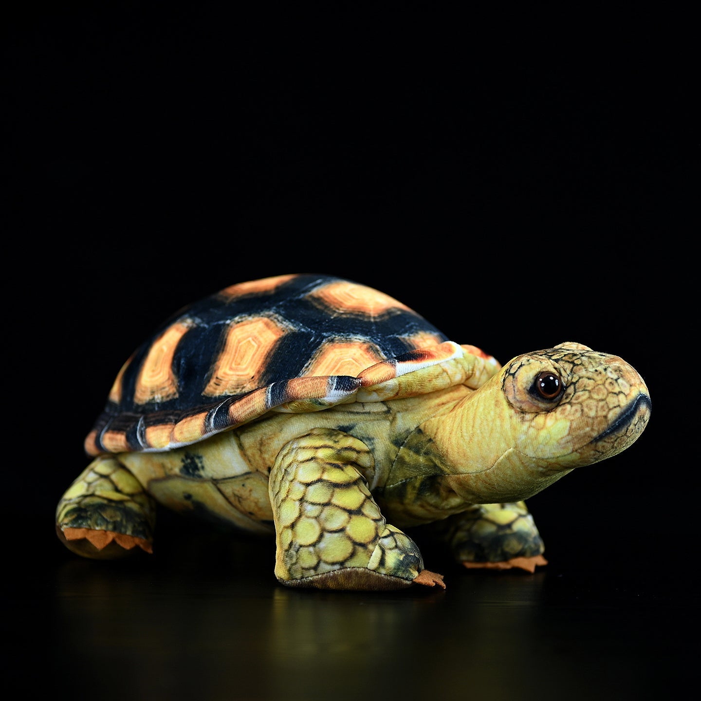 Mediterranean Tortoise Plush