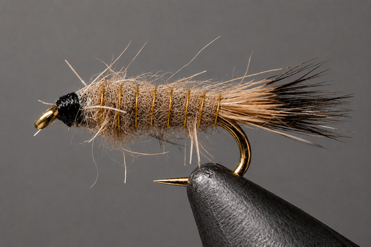Gold Rib Hare's Ear