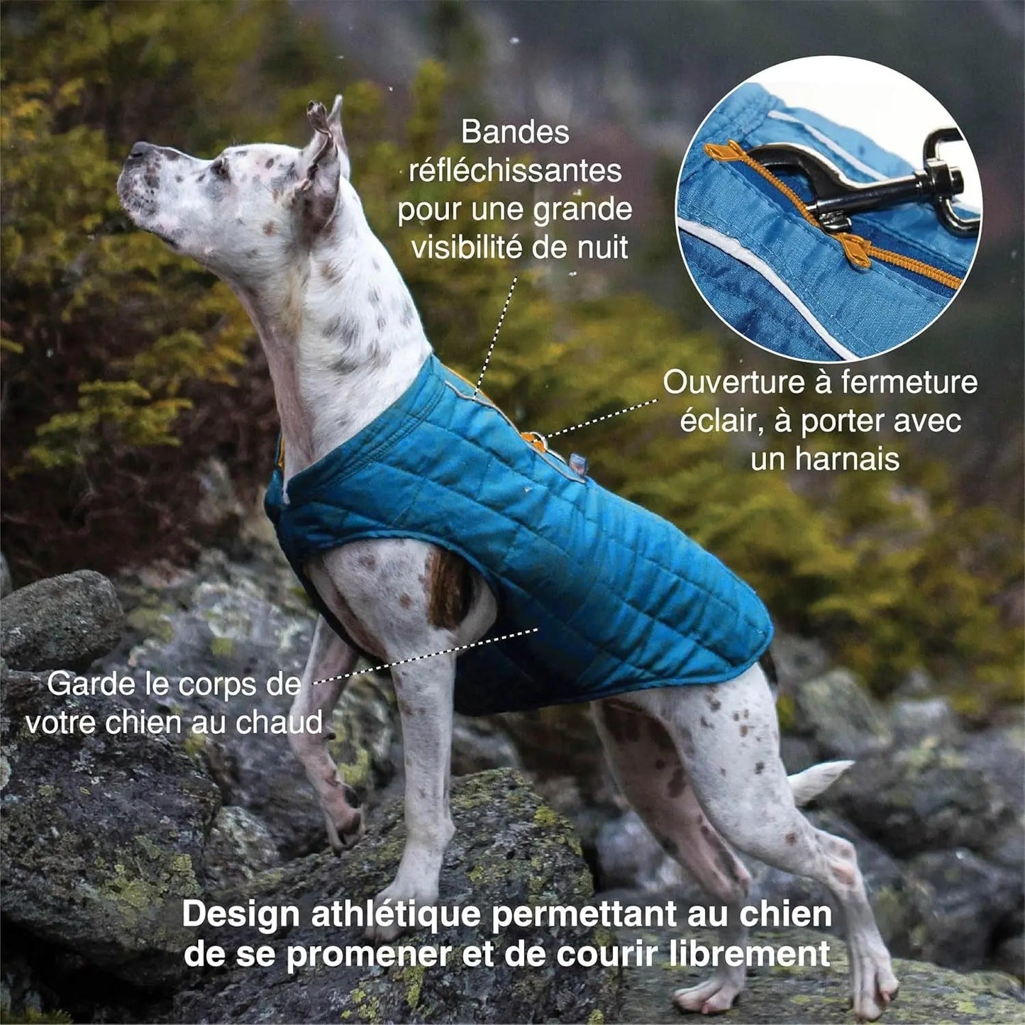 Loft Dog Jacket - Reversible Cozy Coat for Outdoor Adventures - Water Resistant - Athletic Fit - Machine Washable Fabric - Reflective Dog Gear - Medium - Chili Red