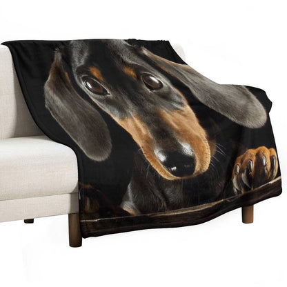 Dachshund Dog Photo Portrait Throw Blanket