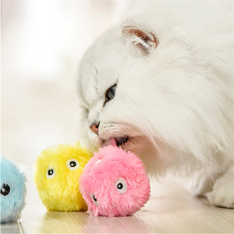 Smart Interactive Ball Catnip Training Toy