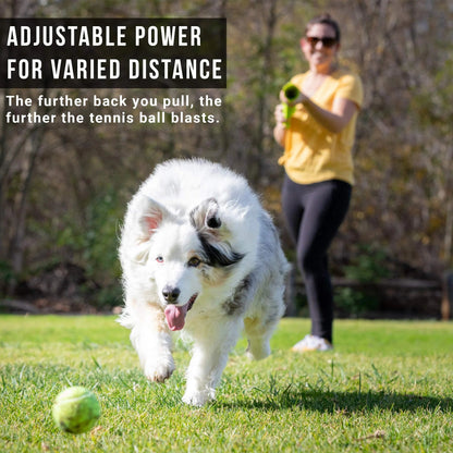 K9 Kannon Dog Tennis Ball Launcher