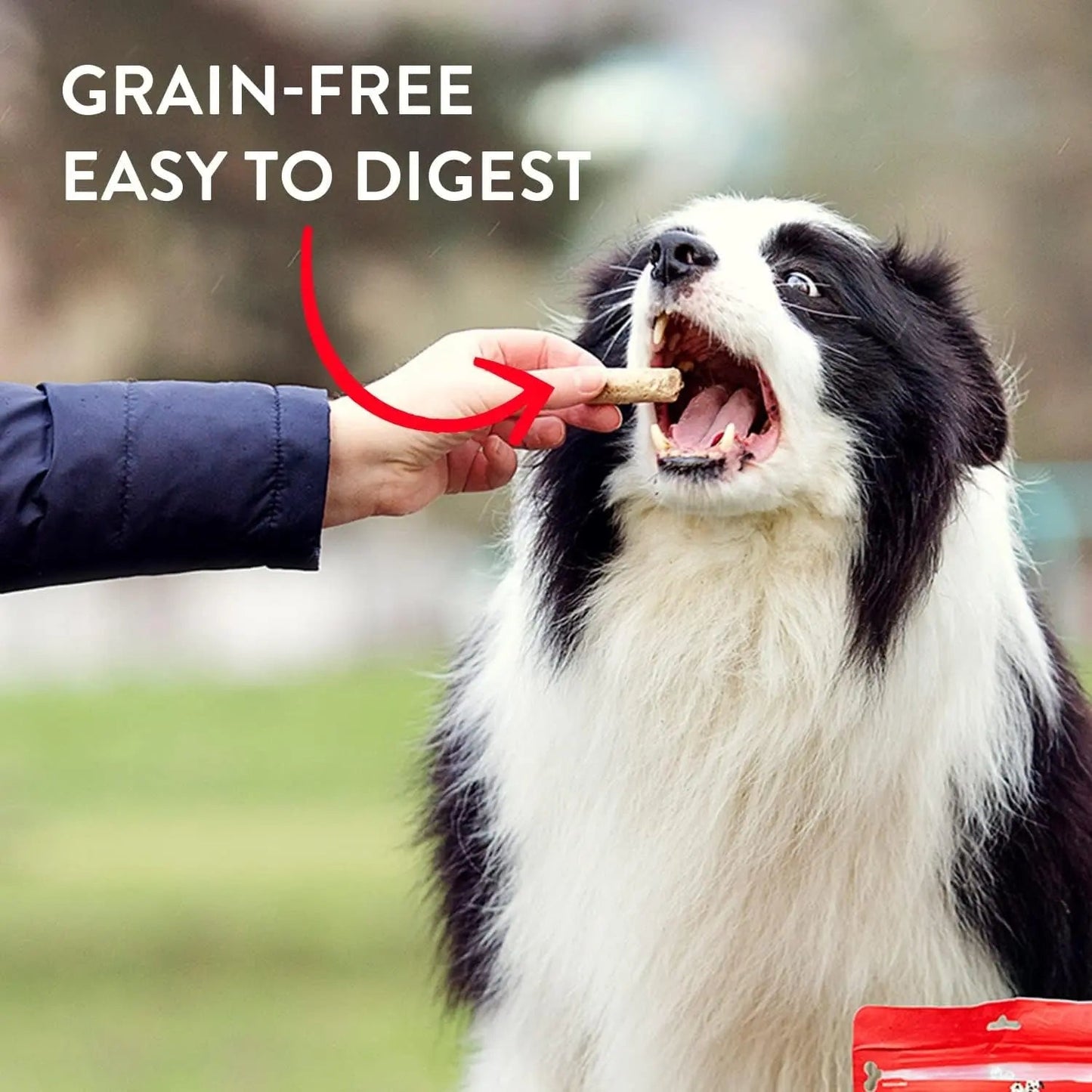 Freeze-Dried Raw Wild Weenies Dog Treats - High-Protein Training Treats for Dogs & Puppies - All-Natural Grass-Fed Beef Recipe with 97% Meat & Organs - USA Made - 11.5 Oz Bag