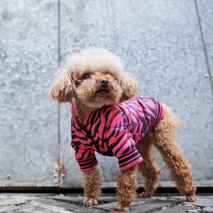 Luxury Bomber Jacket