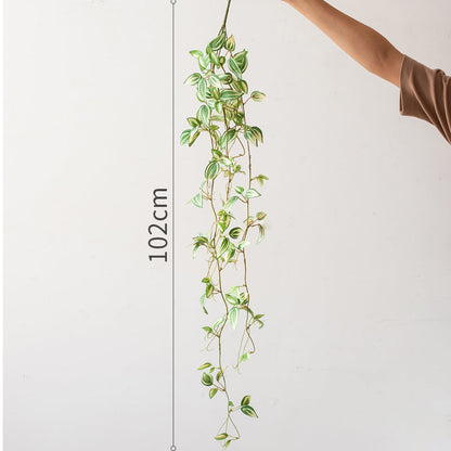 Extra-Long Trailing Tradescantia Vine (40" / 102cm)