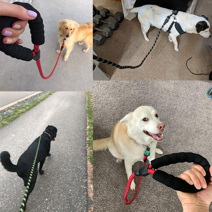 Retractable Pet Luminous Leash