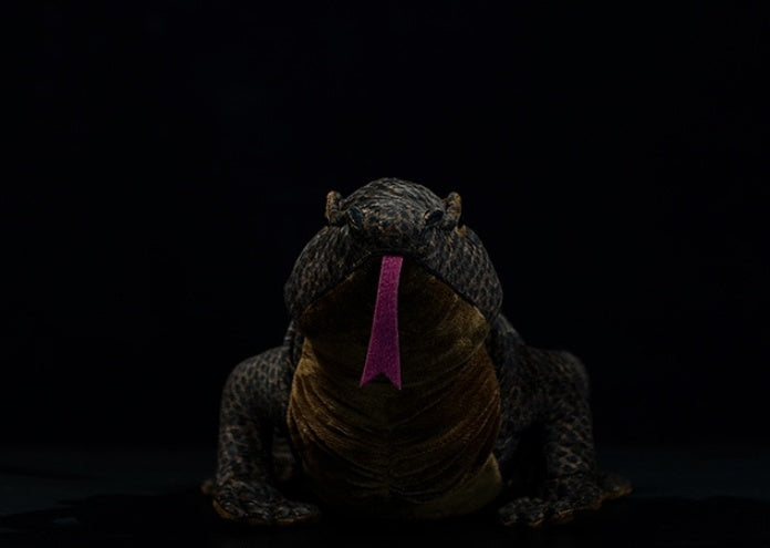 Komodo Dragon Monitor Lizard Plush