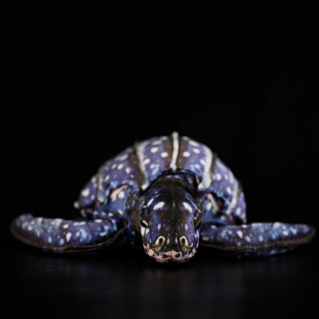 Leatherback Sea Turtle Plush