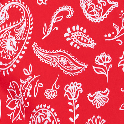 Americana Paisley - Red | Mens Boardshort