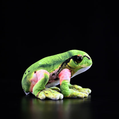 Japanese Tree Frog Plush