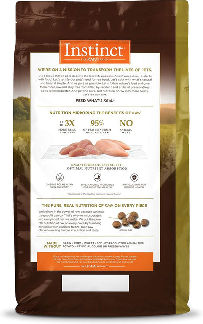 Natural Dry Cat Food, 10 Lb. Bag