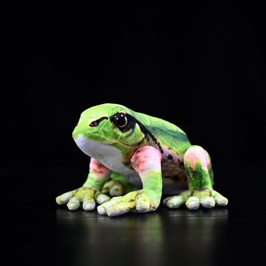 Japanese Tree Frog Plush