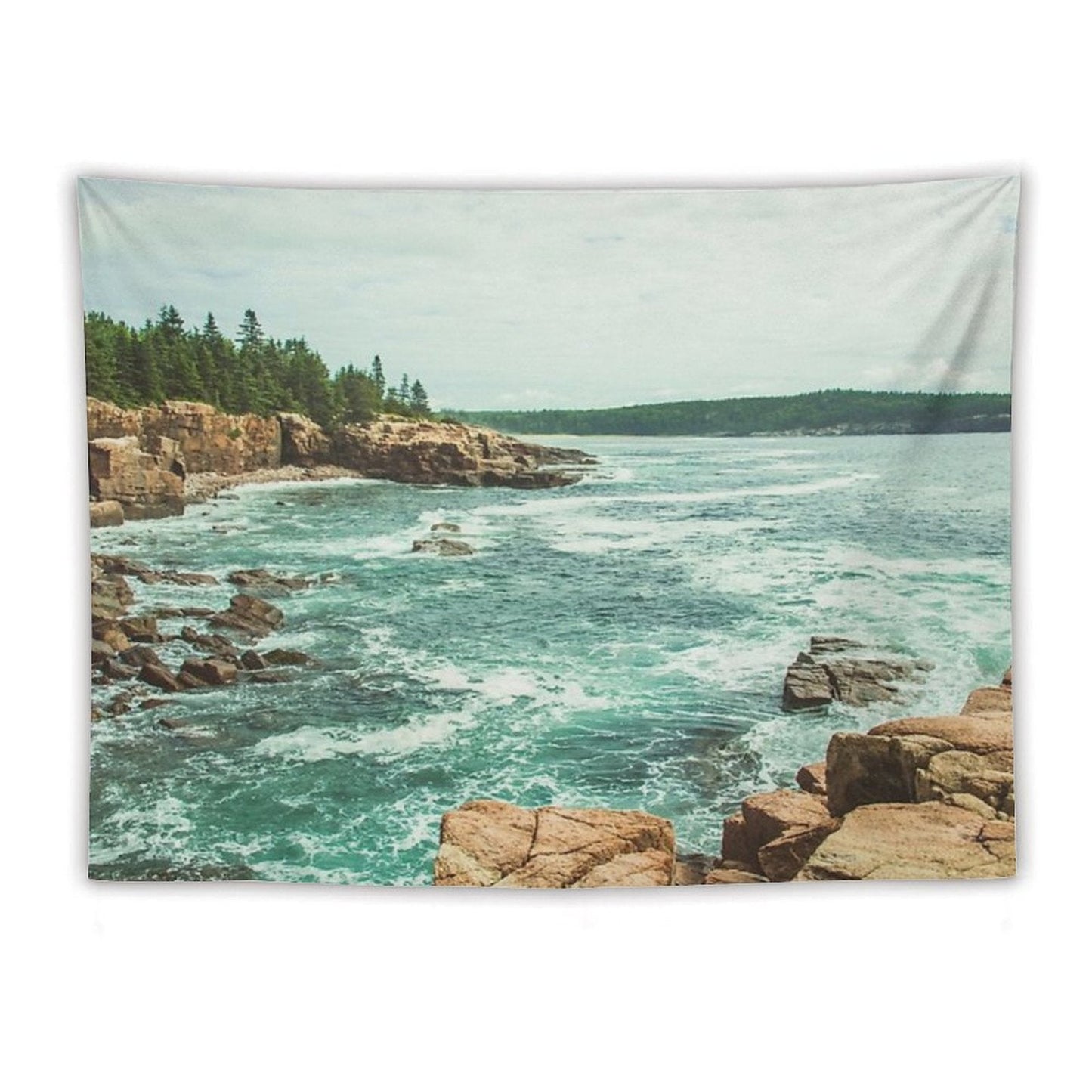 Acadia Coastline - National Park Ocean Tapestry