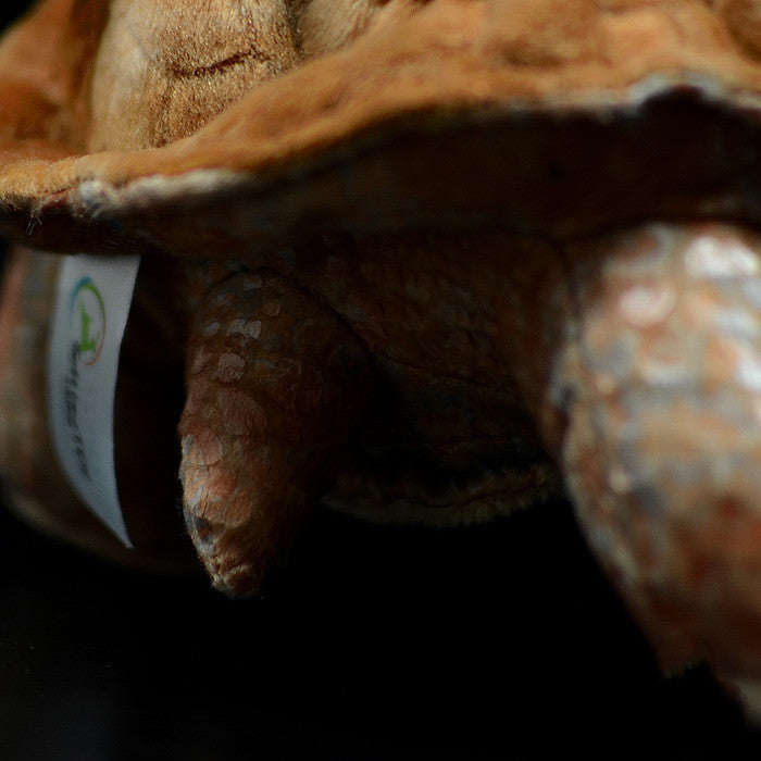 Galápagos Giant Tortoise (Chelonoidis niger) Plush