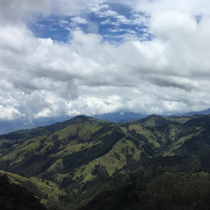 Gesha & Colombia Blend – Alchemy Steep (5-Pack)