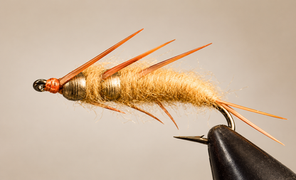 Double Bead - Stonefly Nymphs