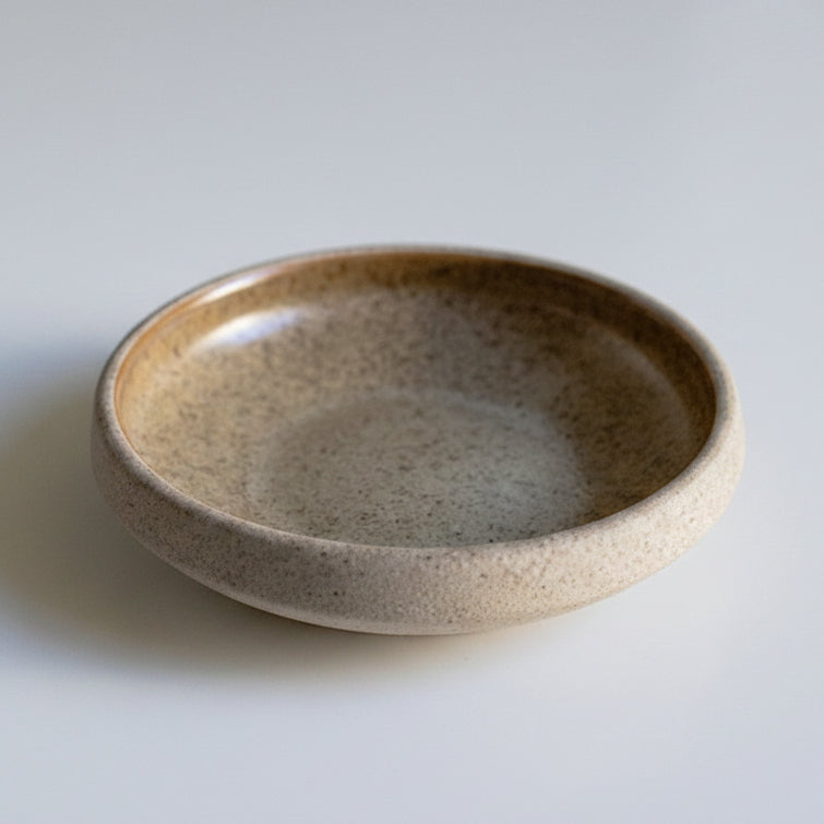 Earthy Oblique Ceramic Reptile Dish