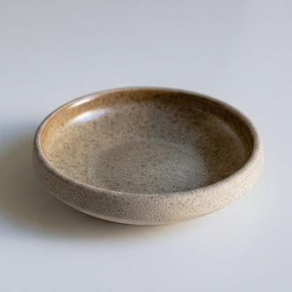 Earthy Oblique Ceramic Reptile Dish