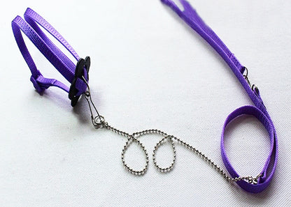 Adjustable Reptile Leash & Harness Kit