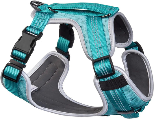 Embark Sports Dog Harness, Dog Harness for Large Dogs No Pull with Light and Breathable Design - Easy on and Off, No Pull Training, Size Adjustable, Non Choke with Handle for Control. Teal Vest