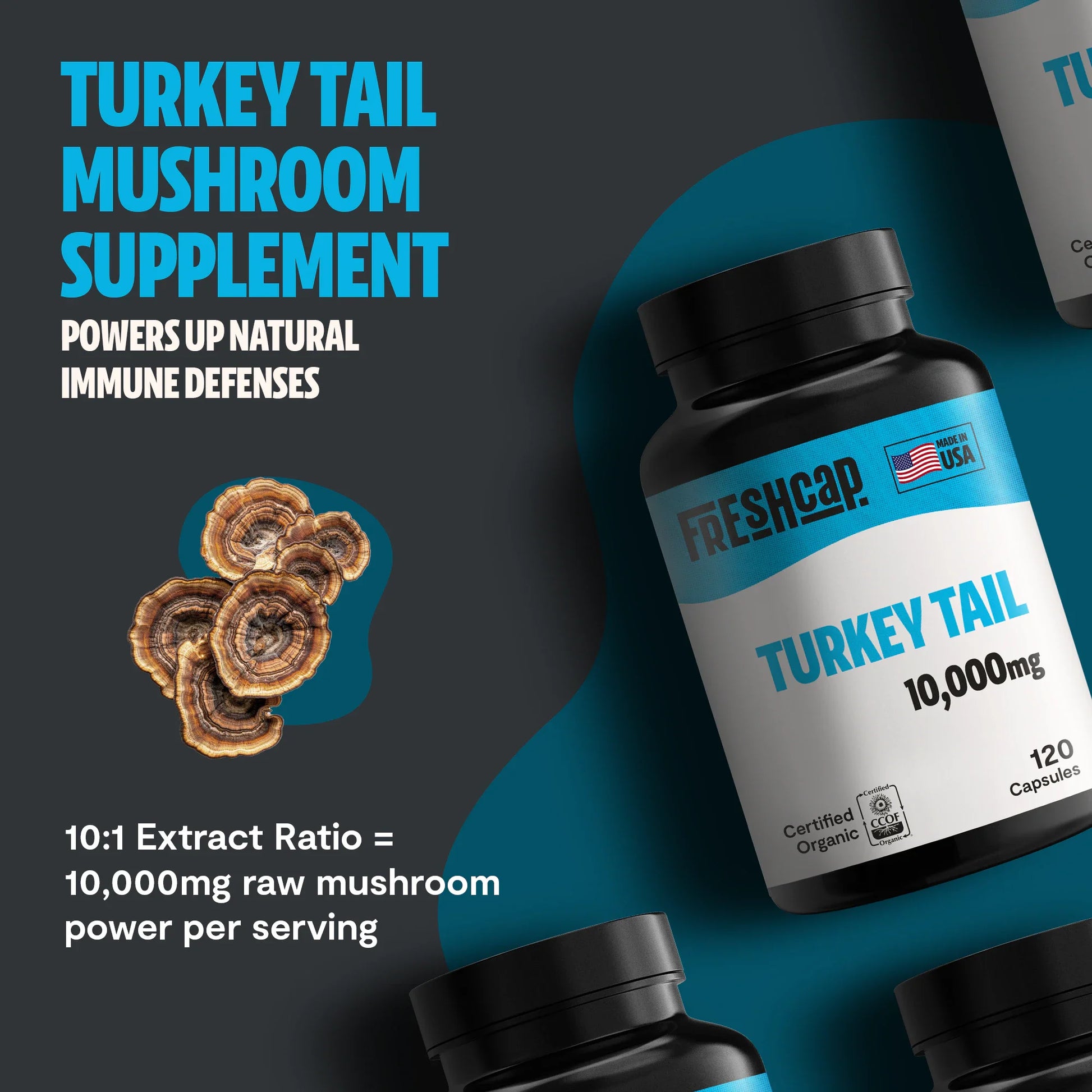 Turkey Tail Mushroom Extract Capsules - Triathlete Store