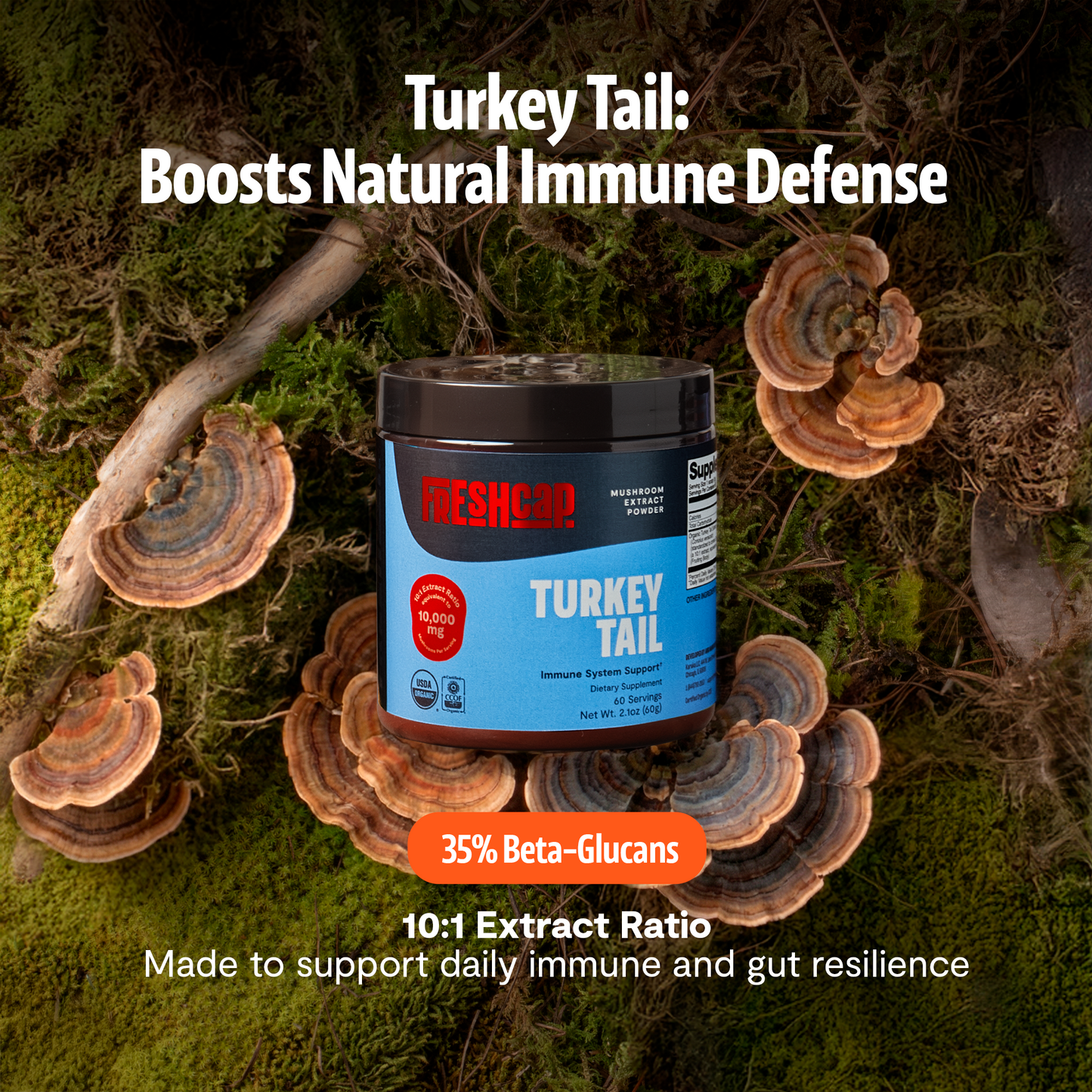 Turkey Tail Mushroom Extract Powder - Triathlete Store