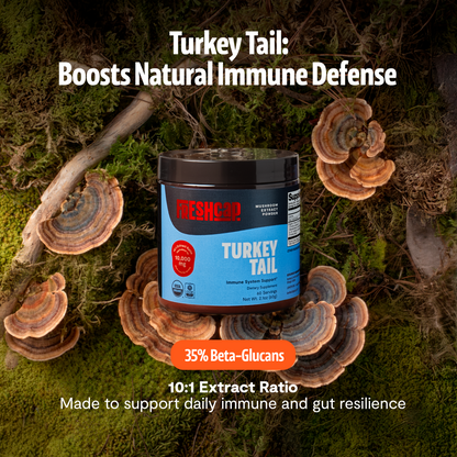 Turkey Tail Mushroom Extract Powder - Triathlete Store