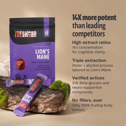 Lion's Mane Mushroom Extract Powder