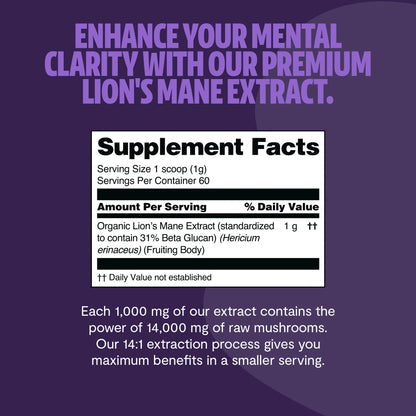 Lion's Mane Mushroom Extract Powder - Triathlete Store