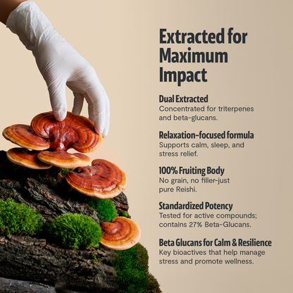 Reishi Mushroom Extract Powder - Triathlete Store