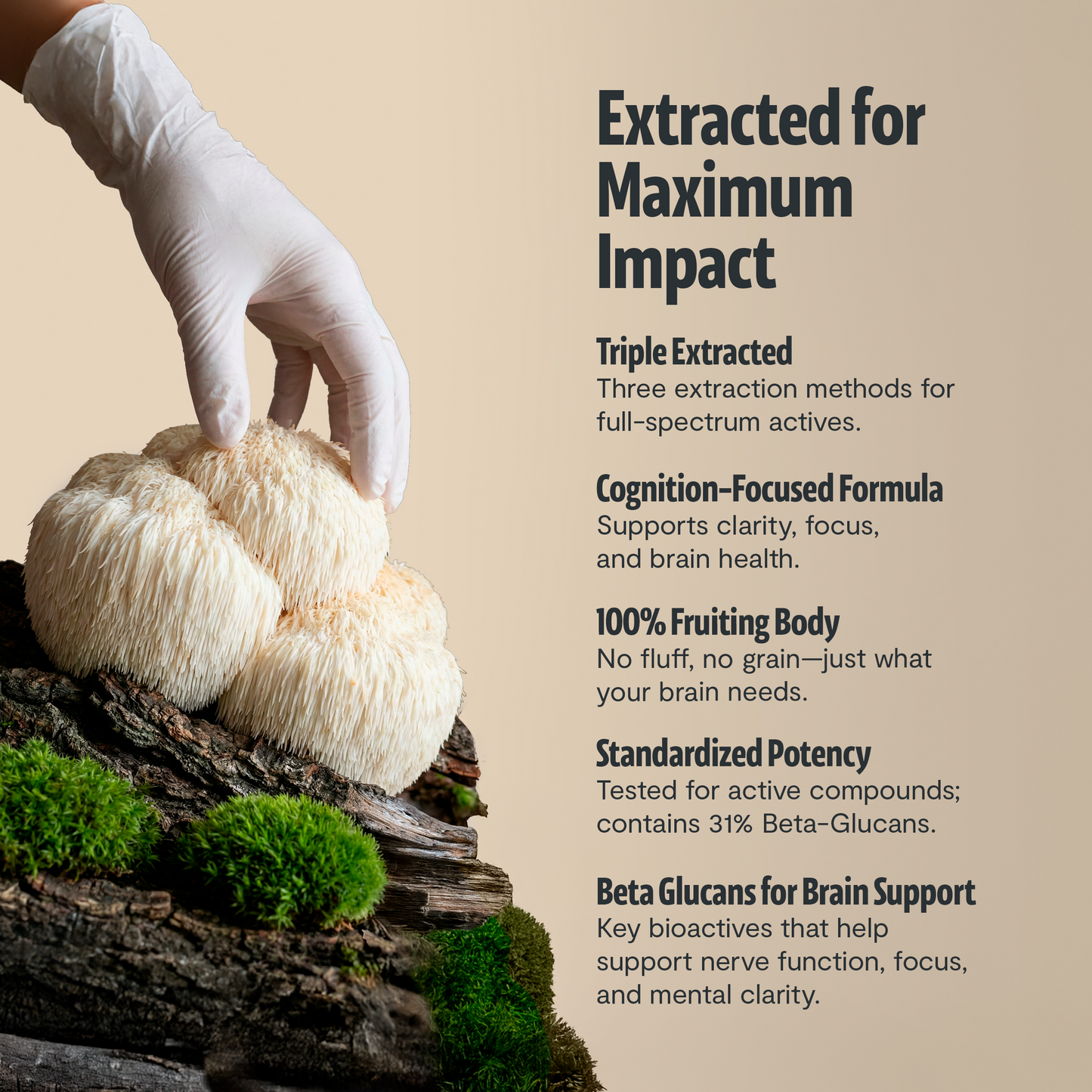 Ultimate Mushroom Complex Capsules - Triathlete Store