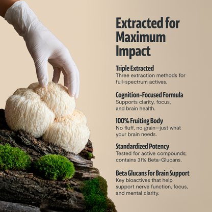 Ultimate Mushroom Complex Capsules - Triathlete Store