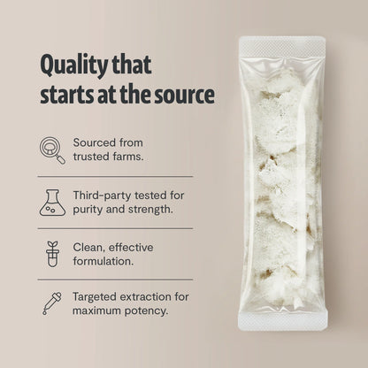 Lion's Mane Mushroom Extract Powder