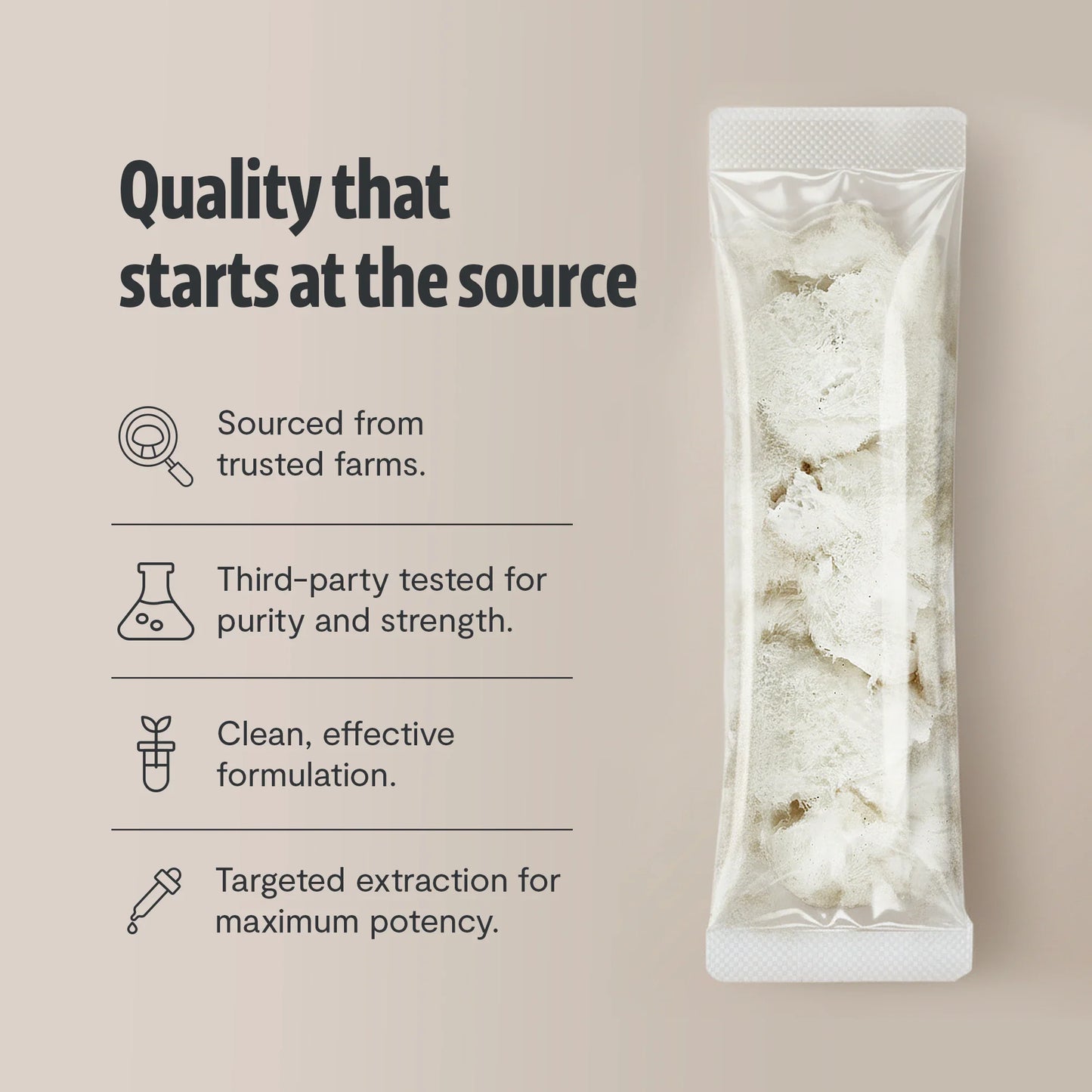 Lion's Mane Mushroom Extract Powder