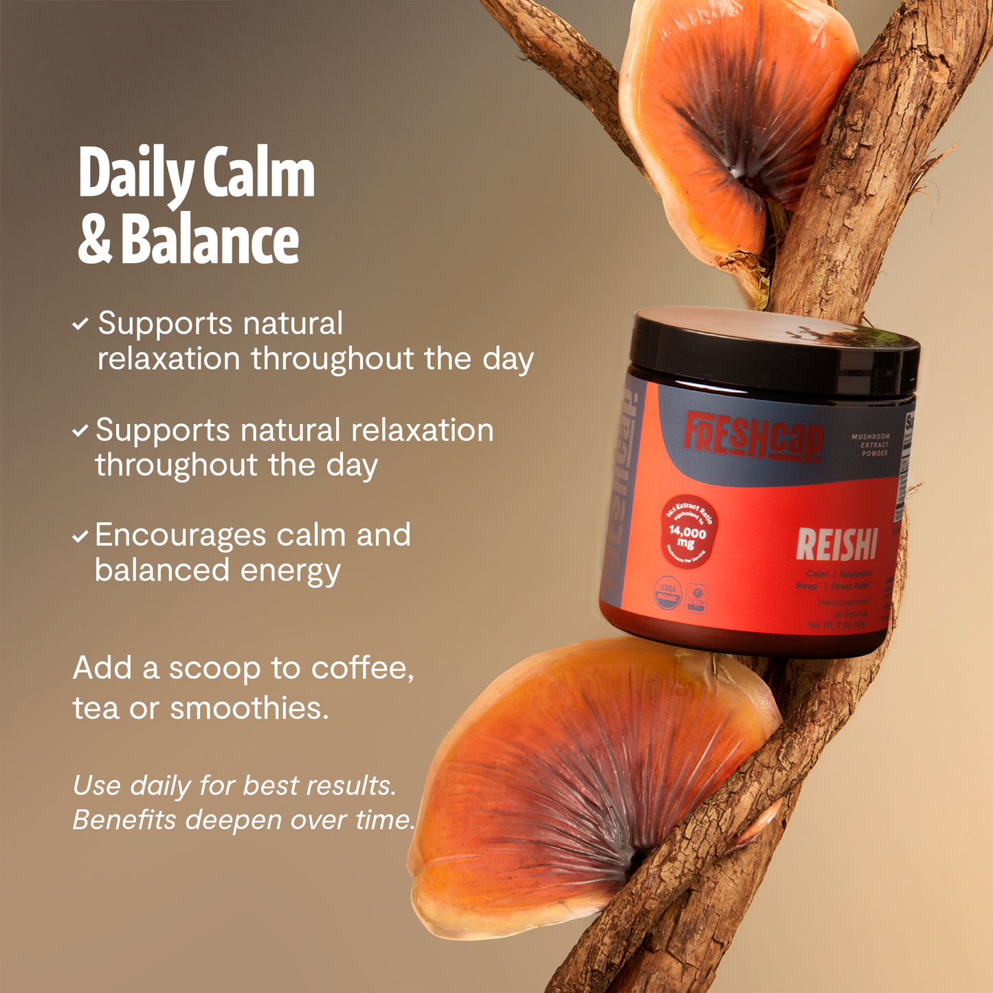 Reishi Mushroom Extract Powder - Triathlete Store