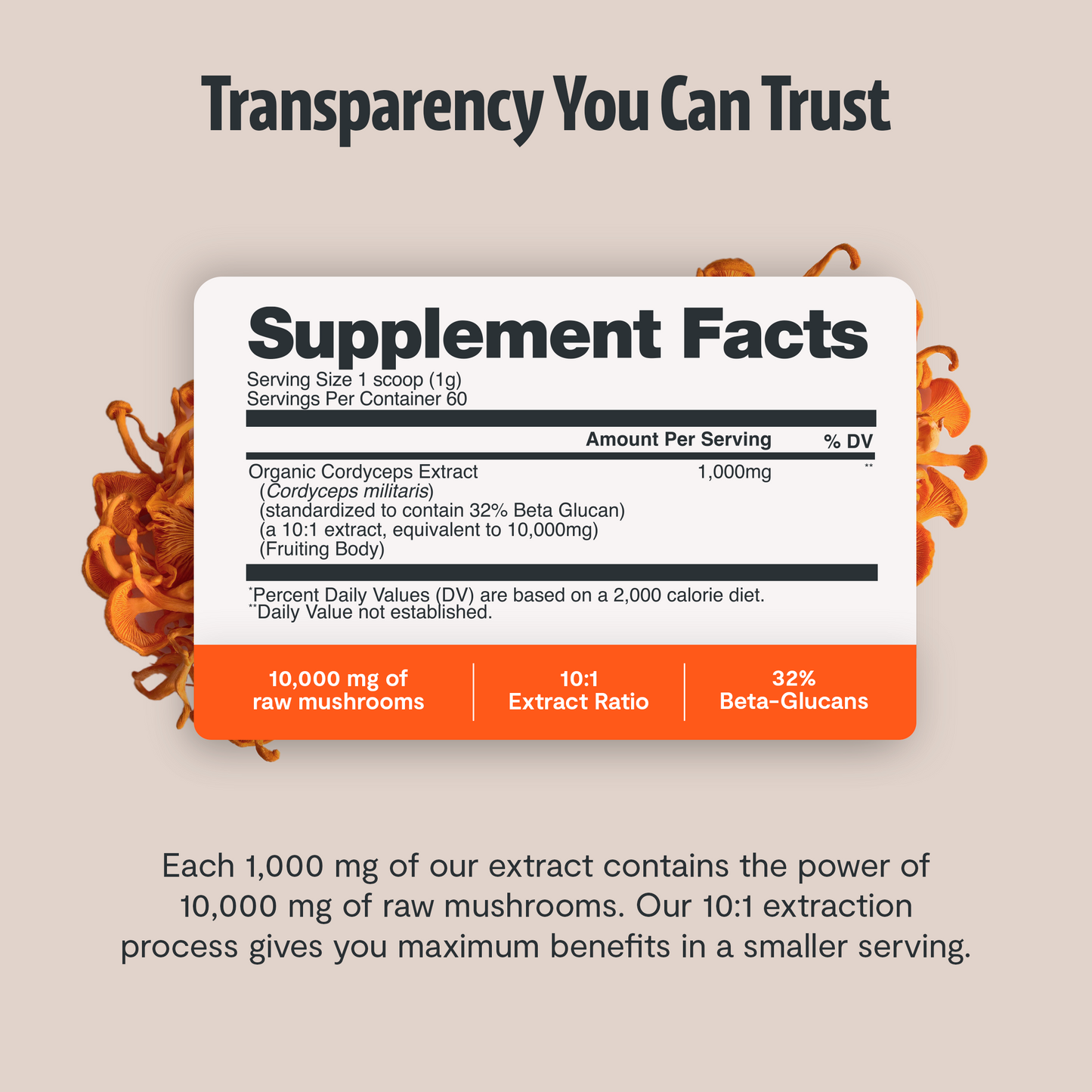 Cordyceps Mushroom Extract Powder - Triathlete Store