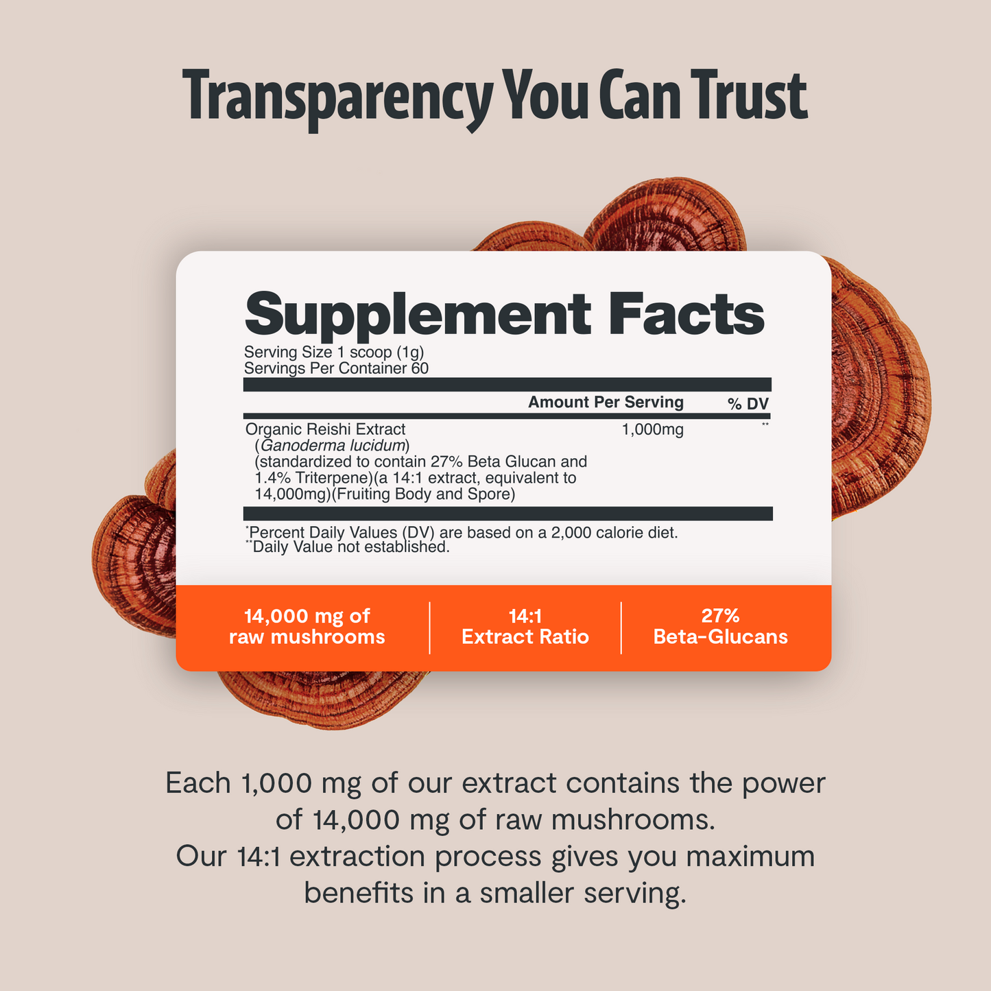 Reishi Mushroom Extract Powder - Triathlete Store