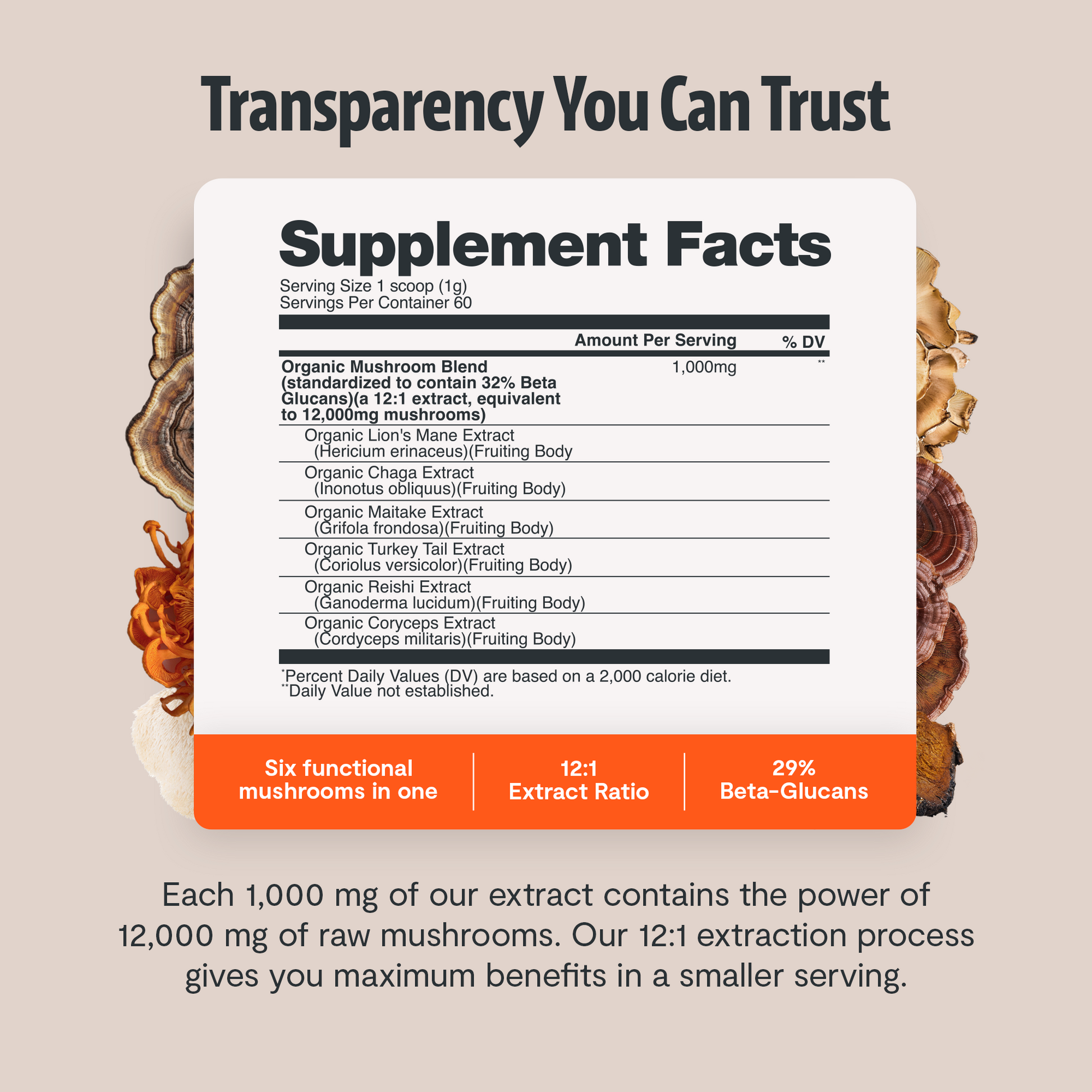 Ultimate Mushroom Complex Powder - Triathlete Store