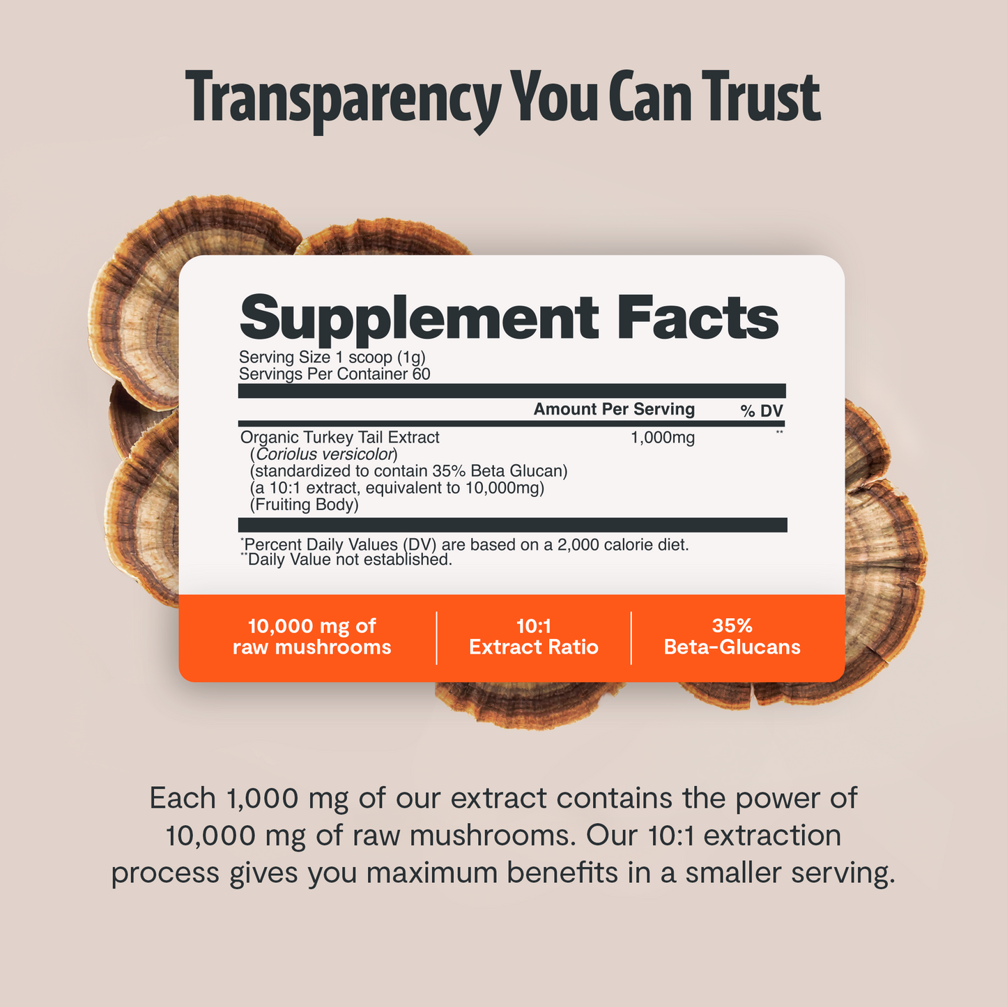 Turkey Tail Mushroom Extract Powder - Triathlete Store