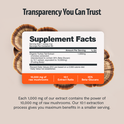 Turkey Tail Mushroom Extract Powder - Triathlete Store