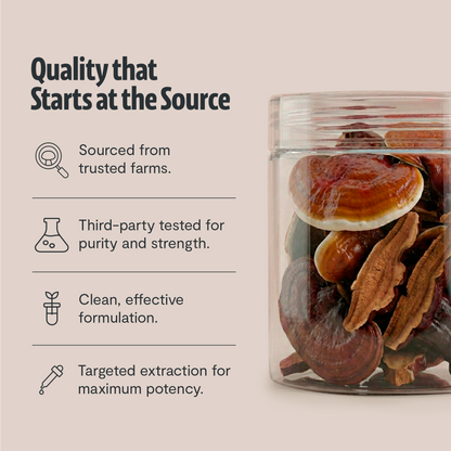 Reishi Mushroom Extract Powder - Triathlete Store