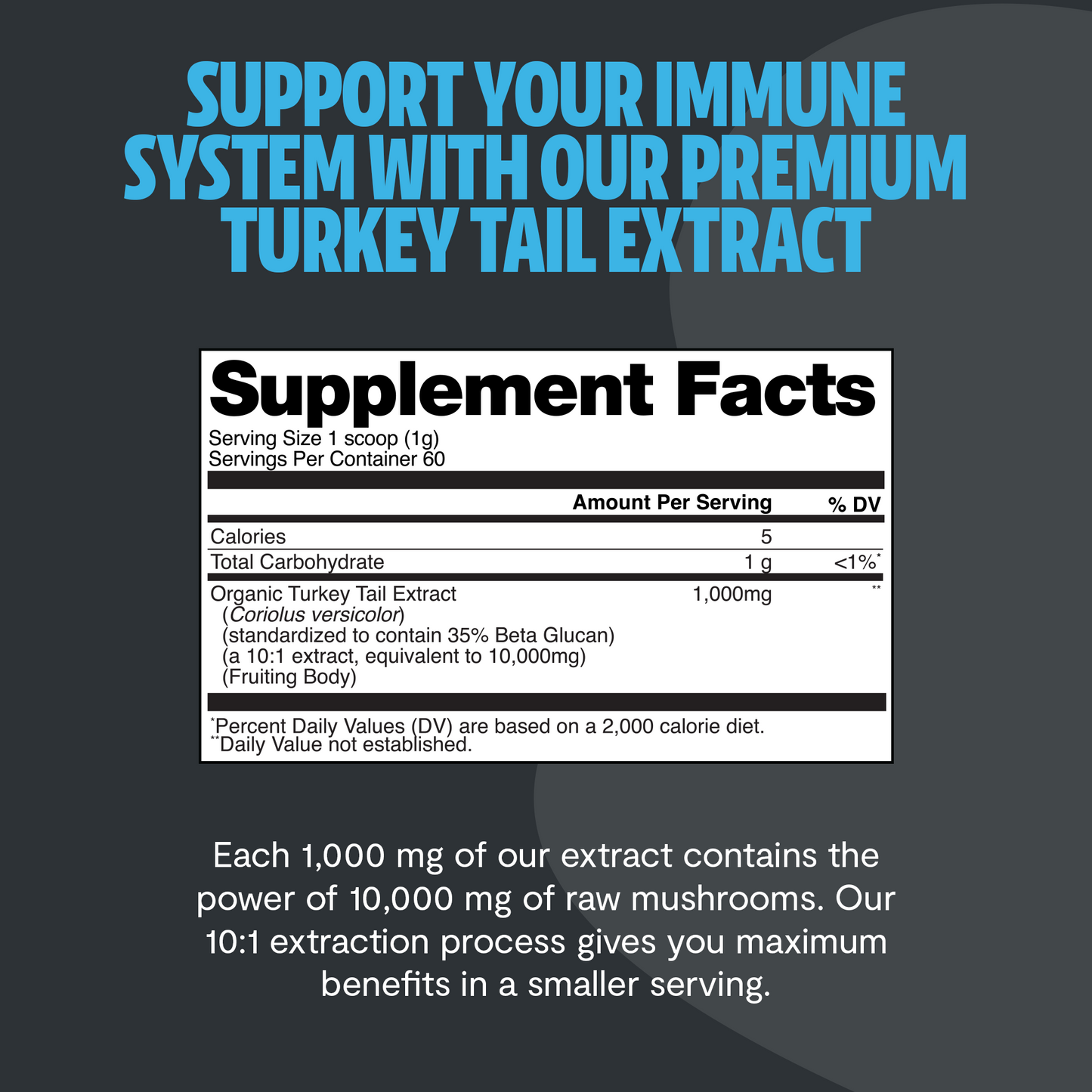 Turkey Tail Mushroom Extract Powder - Triathlete Store