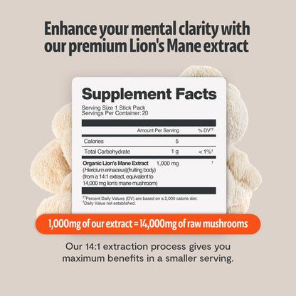 Lion's Mane Mushroom Extract Powder