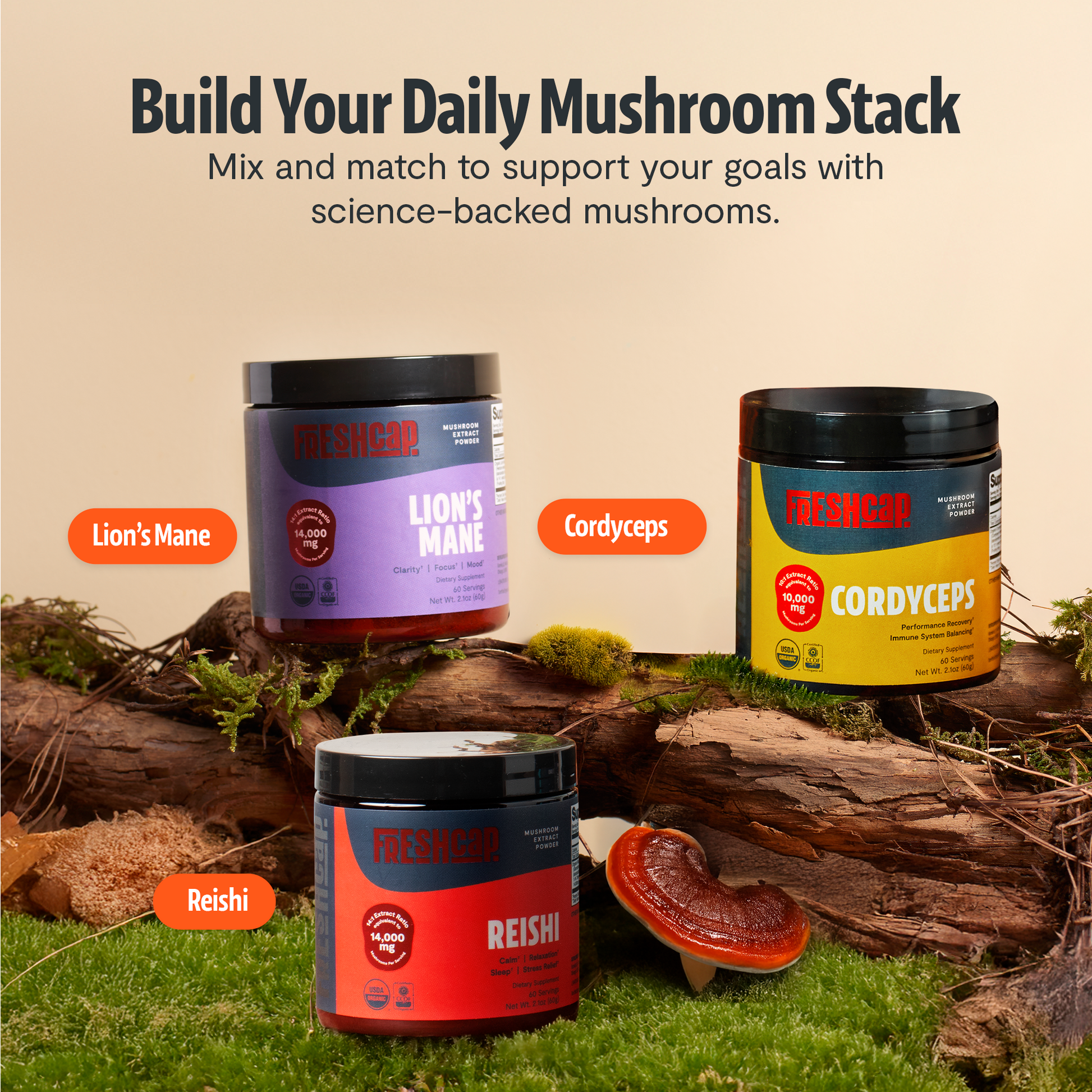 Reishi Mushroom Extract Powder - Triathlete Store