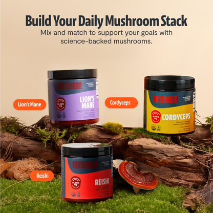 Reishi Mushroom Extract Powder - Triathlete Store