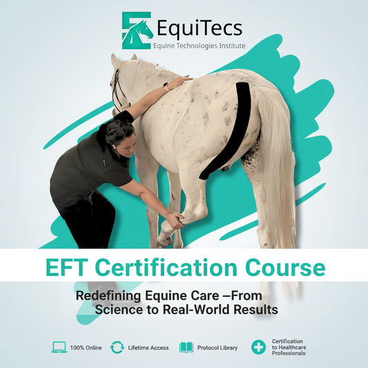 Equine Functional Taping Certification Course — 20 CE Hours