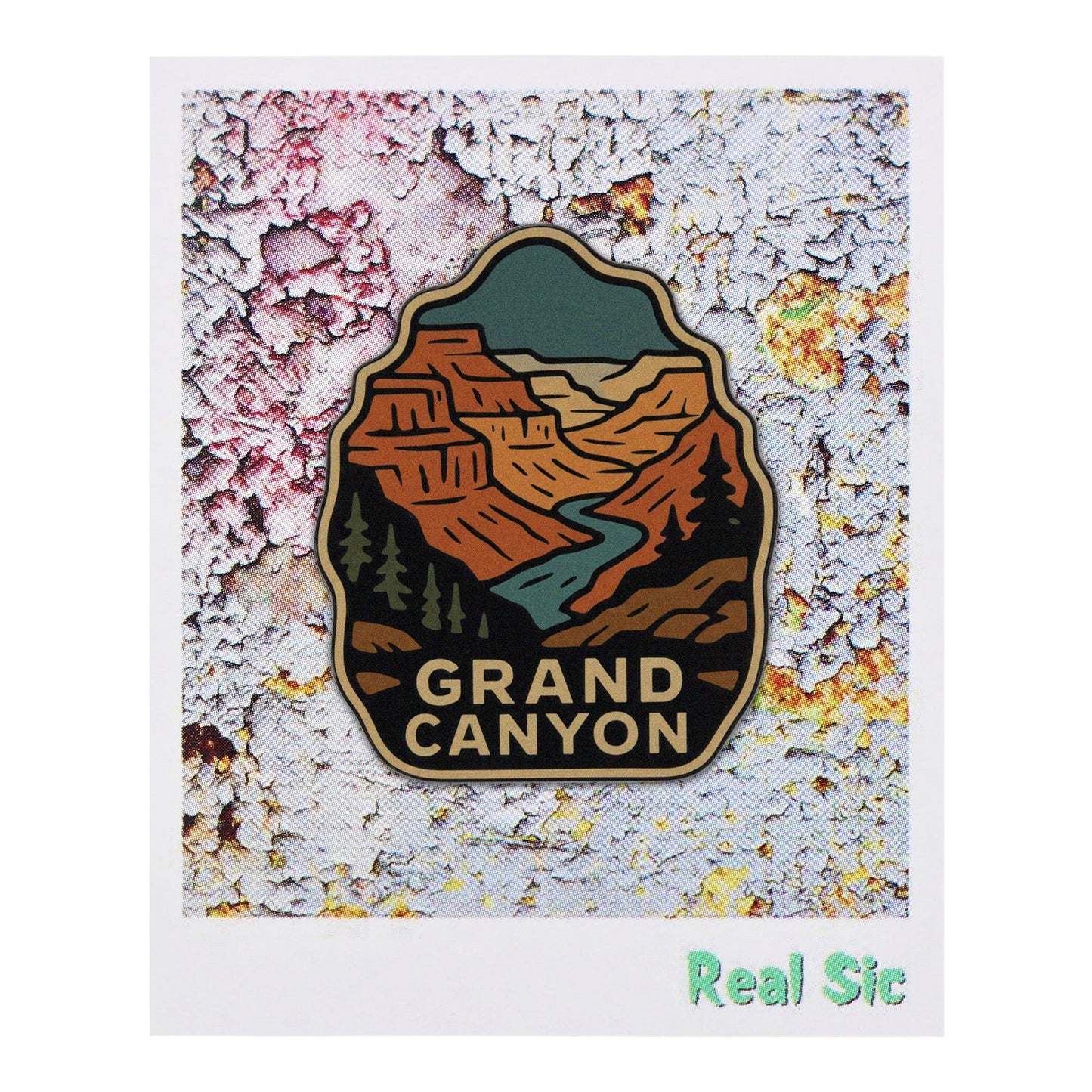 Grand Canyon National Park Pin - Arizona Mather Point Souvenir Pin